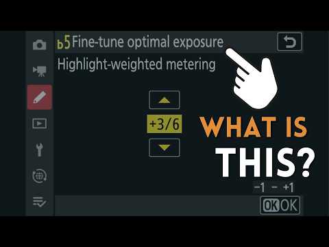 What is Nikon&#039;s Fine-Tune Optimal Exposure?