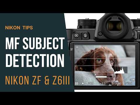 Manual Focus Subject Detection in Nikon Z