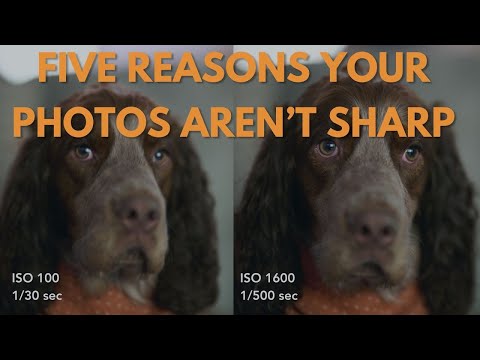 Five Reasons Your Photos Aren&#039;t Sharp