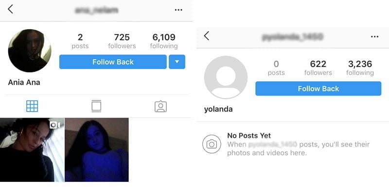 clean fake instagram followers