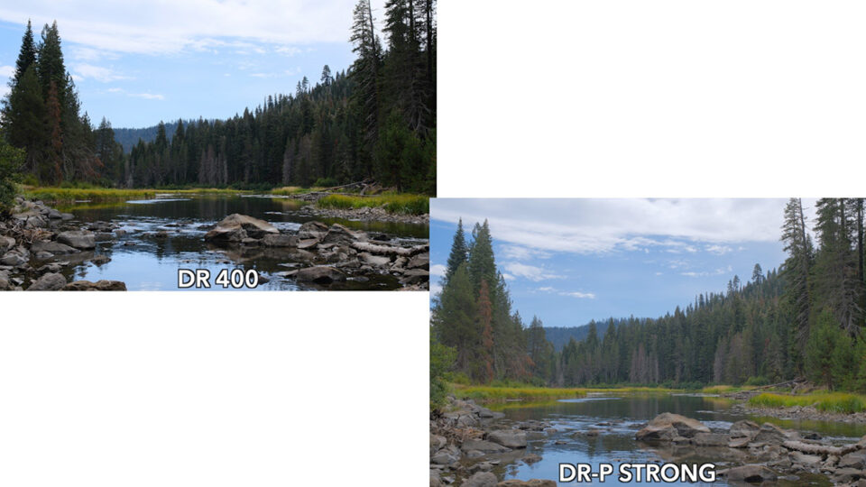 Fujifilm Dynamic Range Priority vs Dynamic Range