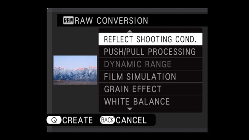 q button raw converter menu