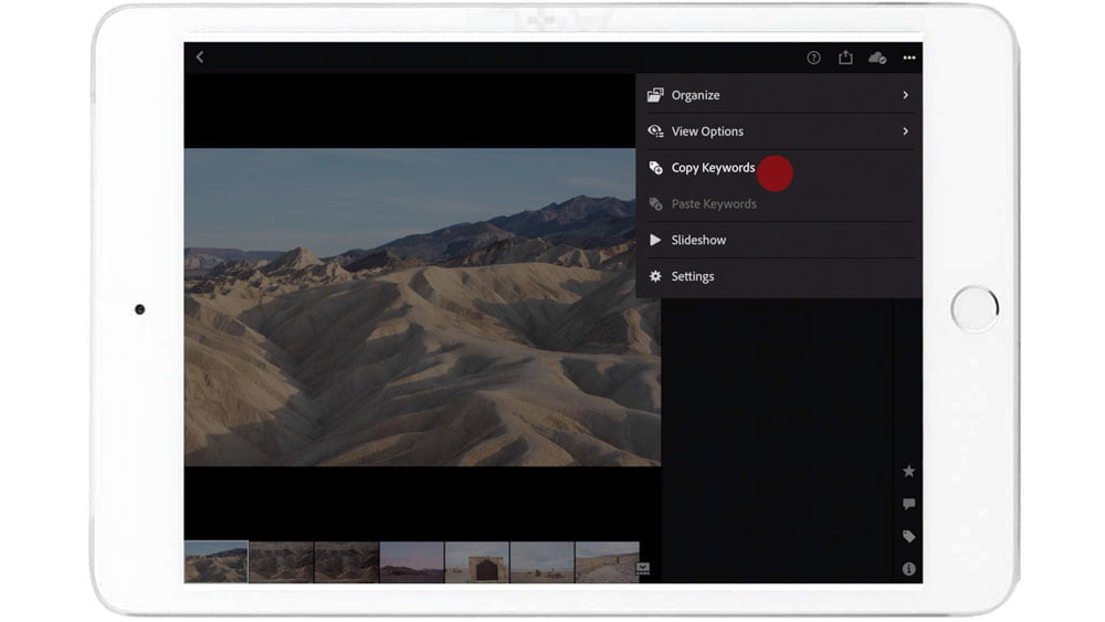 lightroom mobile copy keywords