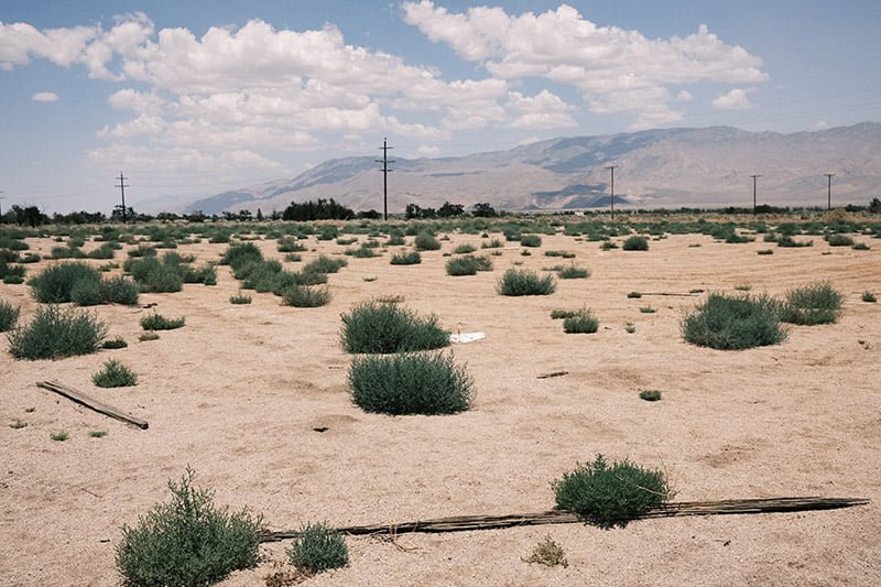 manzanar classic neg