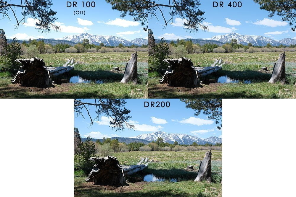 dynamic range example