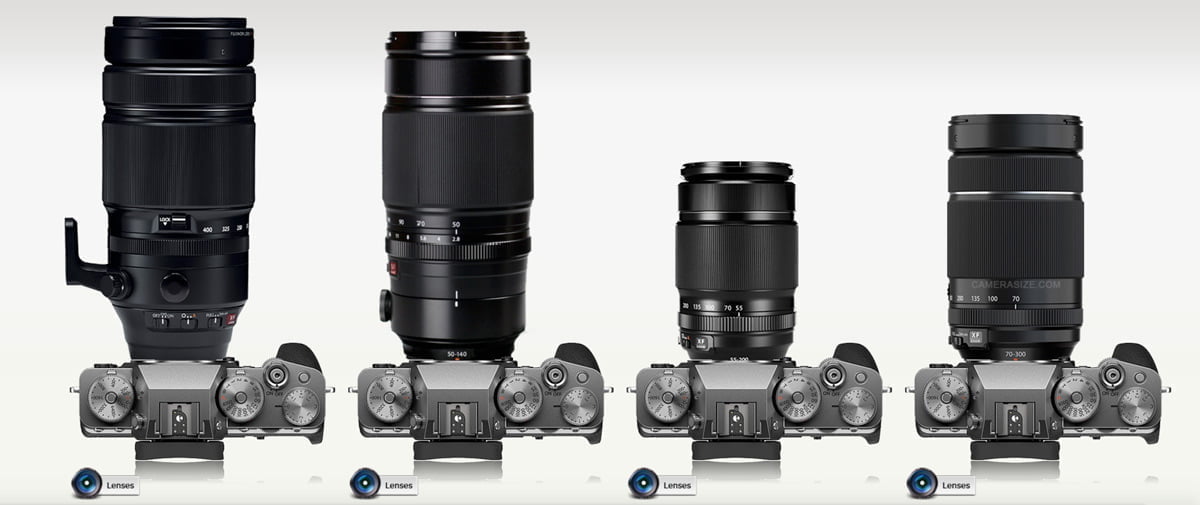 wildlife fujifilm lenses