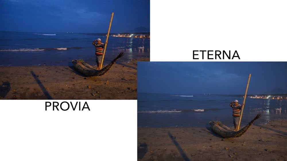 provia vs eterna film simulation comparison