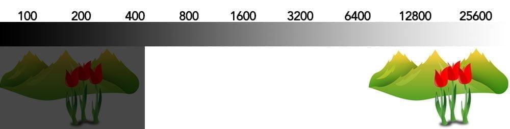 iso stops scale