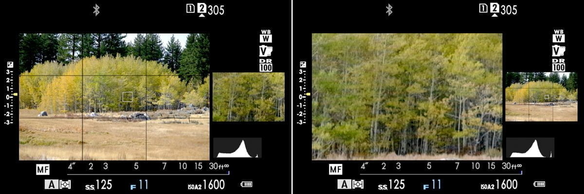 fujifilm dual displays