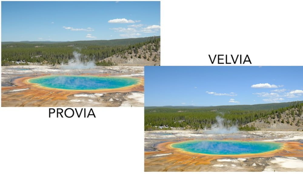 velvia vs provia film simulation comparison