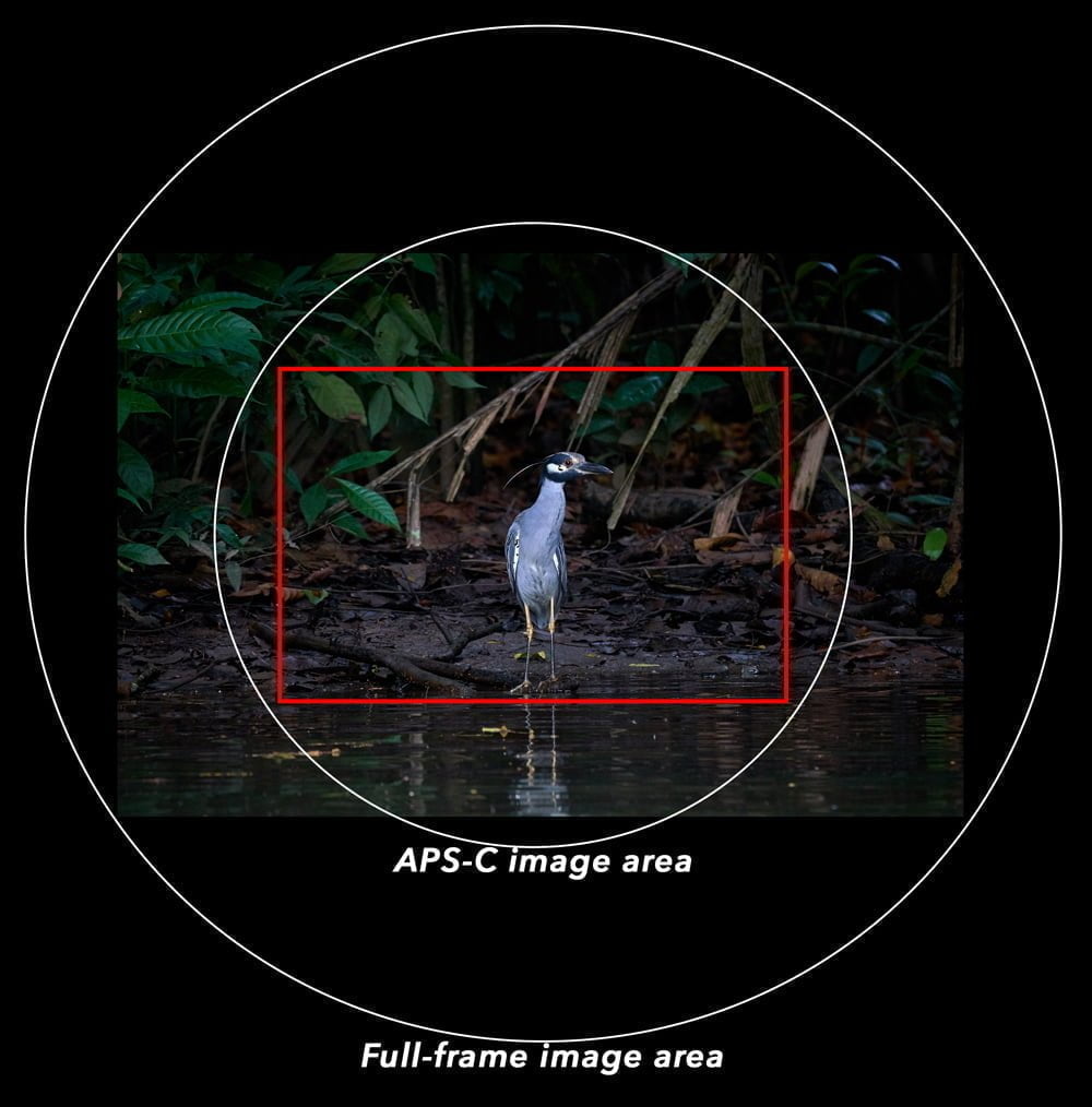 sensor size image areas