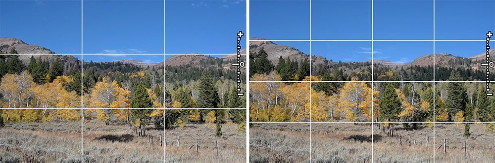 Nikon Zfc framing grids