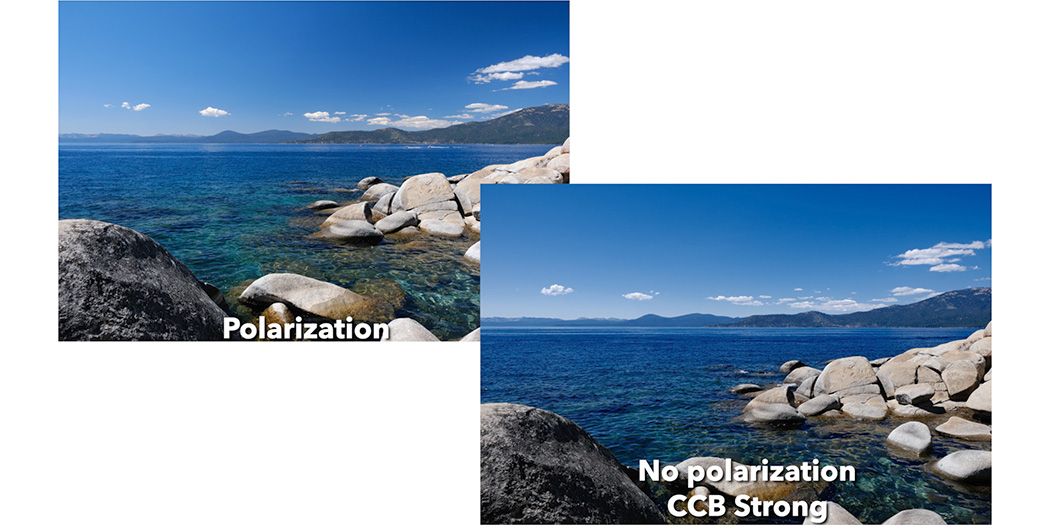 color chrome fx blue vs polarizer