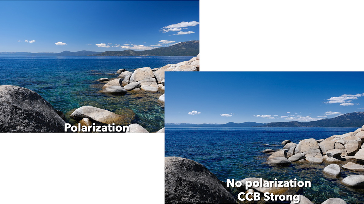 color chrome fx blue vs polarizer