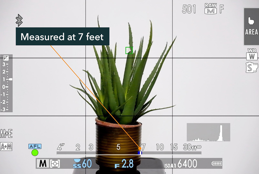 autofocus scale