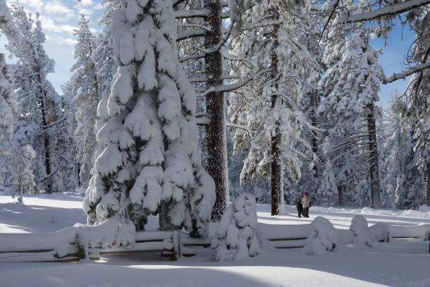 Understanding Exposure Compensation