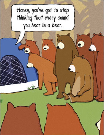 Bear camp cartoon