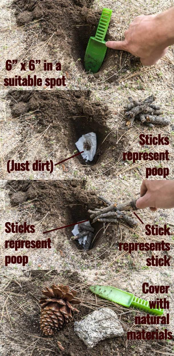 How to Poop in the Woods - A Tastefully Illustrated Guide
